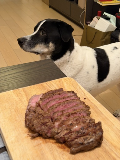 ribeye steak