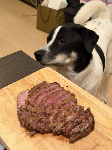 ribeye steak