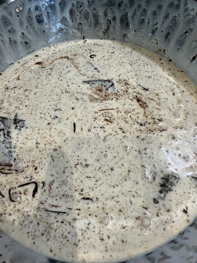 chocolate mousse