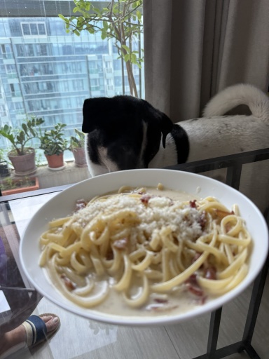 pasta carbonara