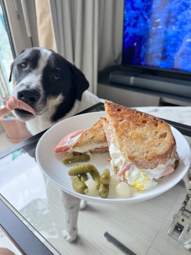 ham and egg sandwich