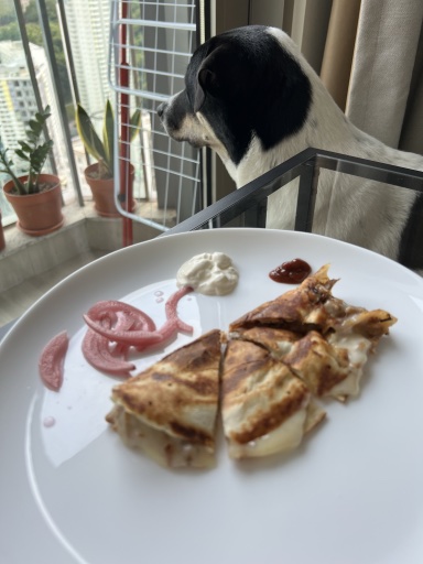 quesadilla