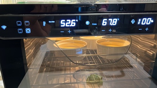 steamed egg custard