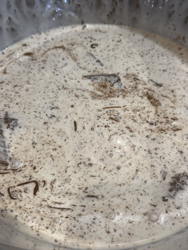 chocolate mousse