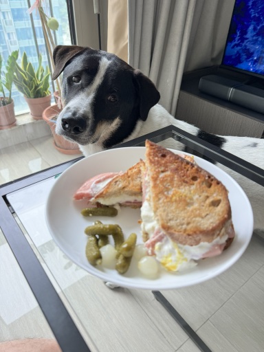 ham and egg sandwich