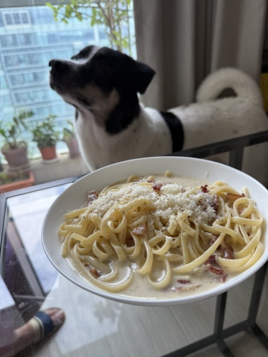 pasta carbonara