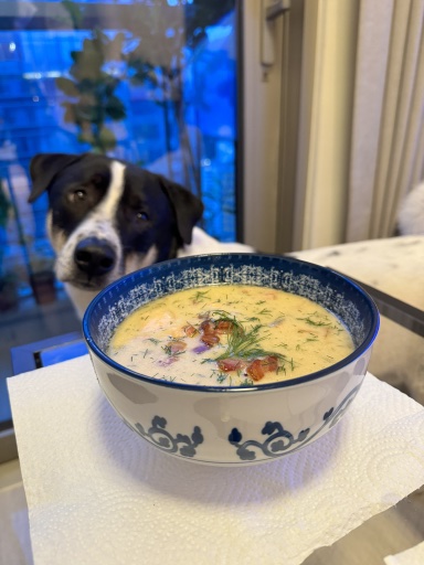 salmon chowder