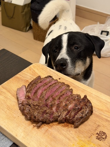ribeye steak