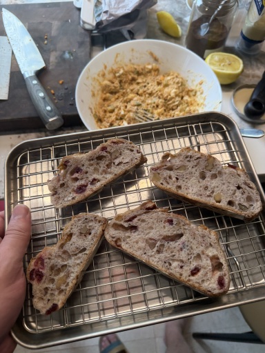 tuna melt with avocado