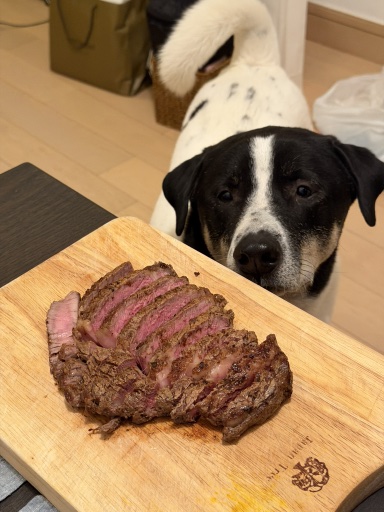 ribeye steak