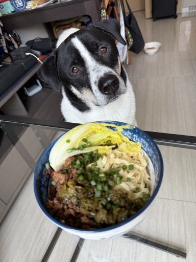 minced pork noodles