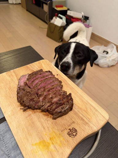 ribeye steak