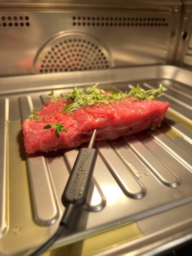 seared steak
