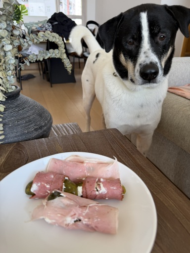 ham pickle roll-ups