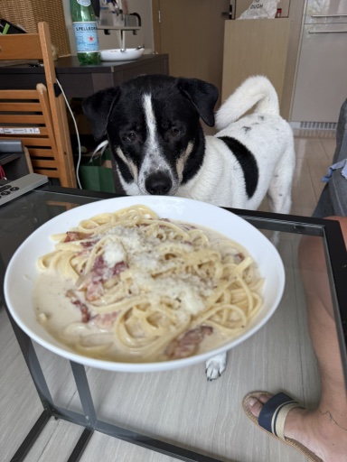 pasta carbonara