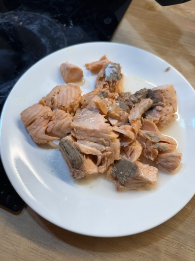 salmon