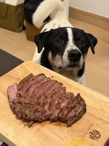 ribeye steak