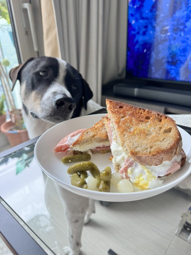 ham and egg sandwich