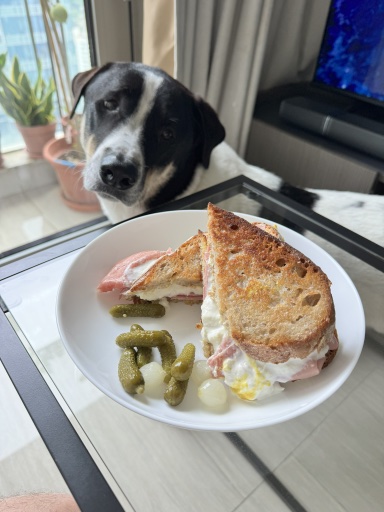 ham and egg sandwich
