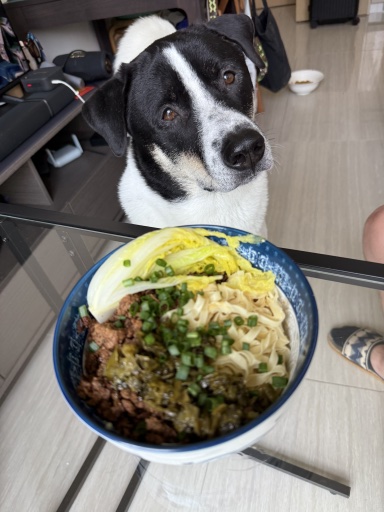 minced pork noodles